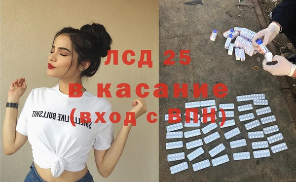 шишки Алзамай