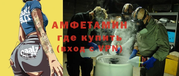 шишки Алзамай