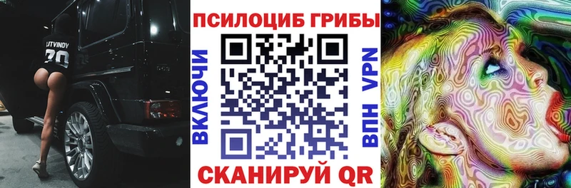Галлюциногенные грибы Cubensis  mega ТОР  Димитровград 